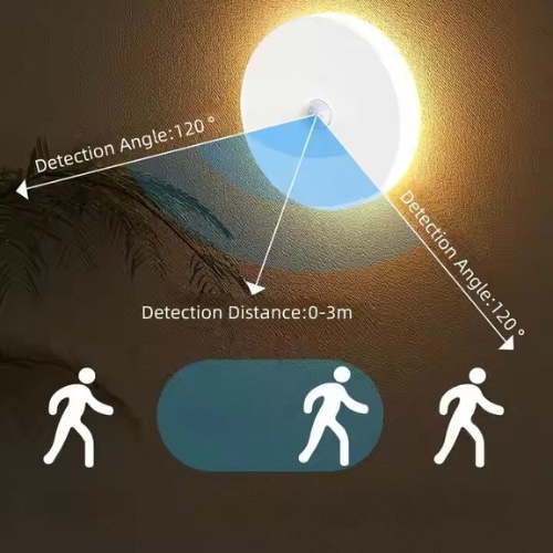 Rechargeable LED PIR Sensor Light