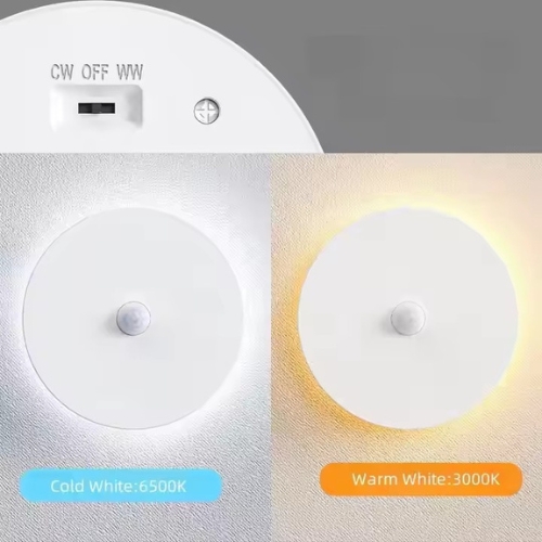 Rechargeable LED PIR Sensor Light