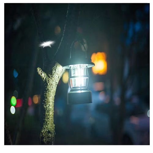 Super bright  3W Solar COB  LED  Camping lantern 